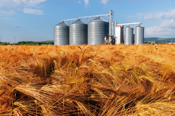 Cambiamenti climatici: l’effetto sugli infestanti nei centri di stoccaggio dei cereali   